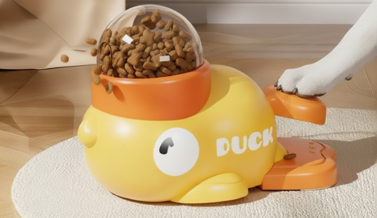 Compagnons à 4 pattes