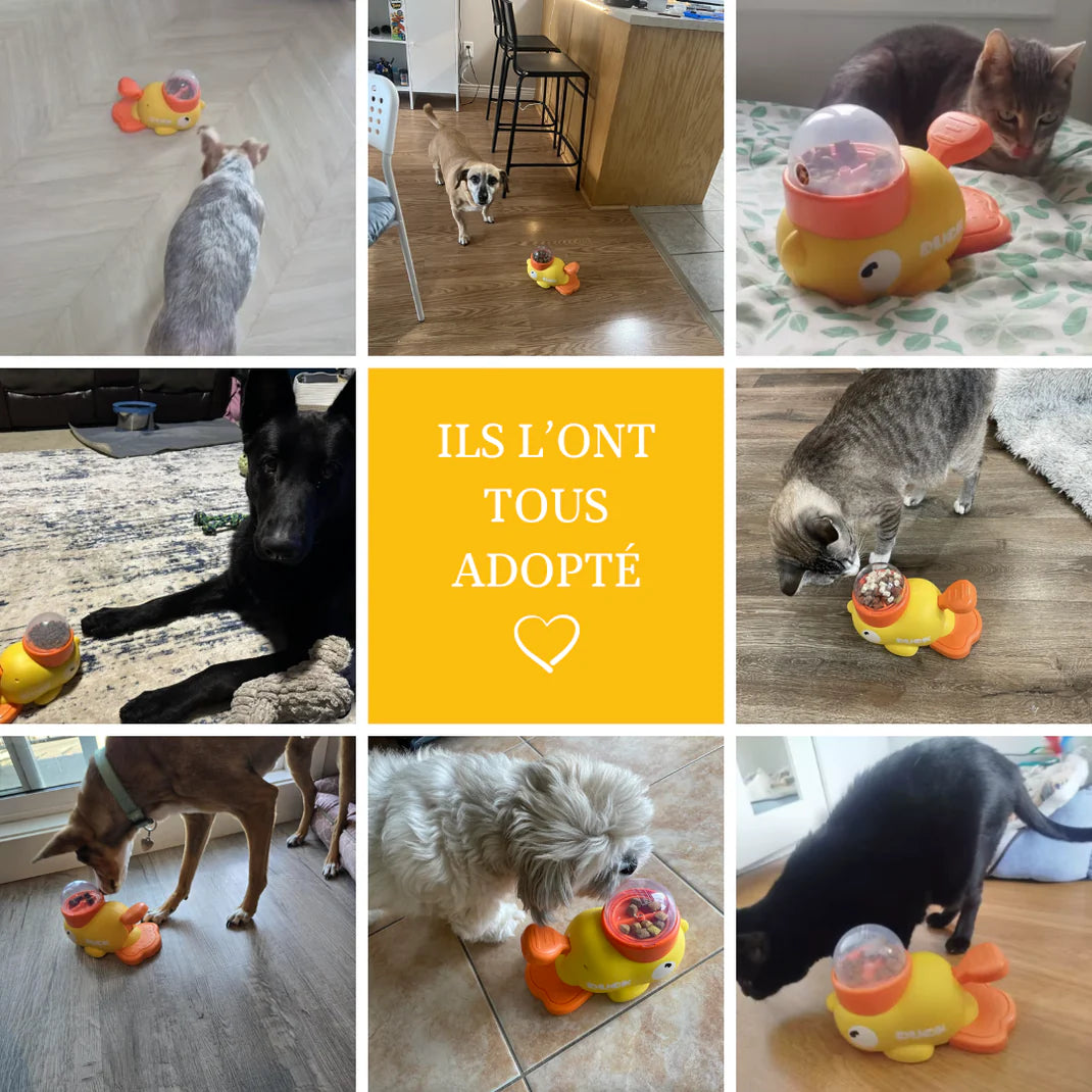 DuckFeeder Pro™ + Smart Ball OFFERTE